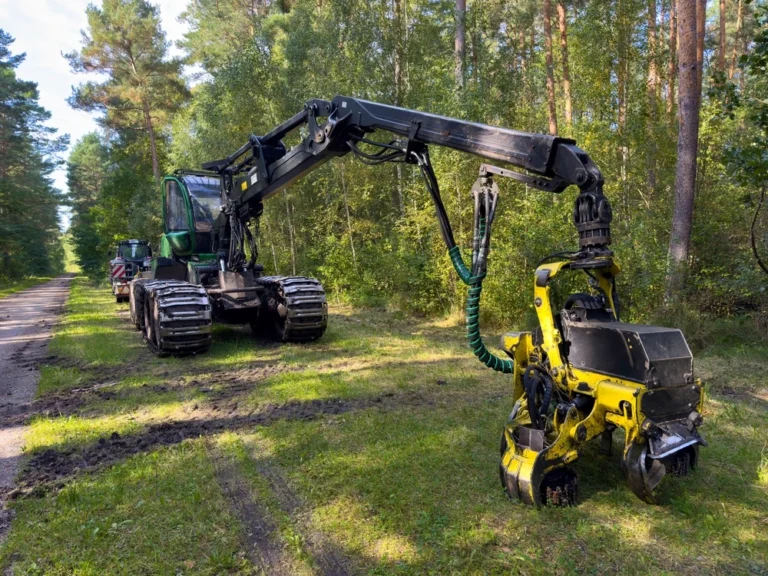 Feller Buncher vs. Harvester