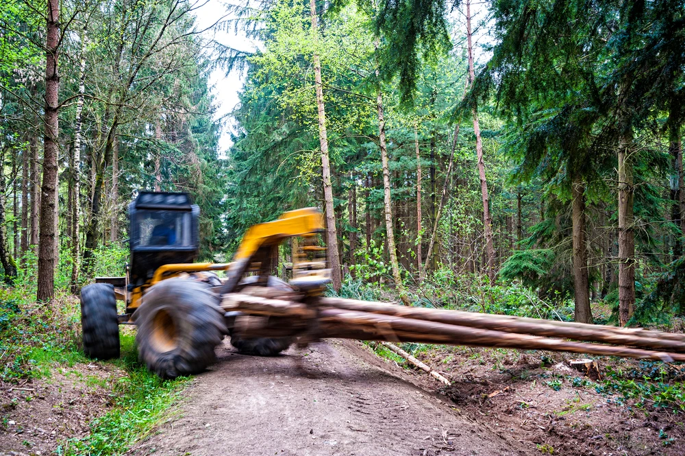 Grapple versus cable skidders explained