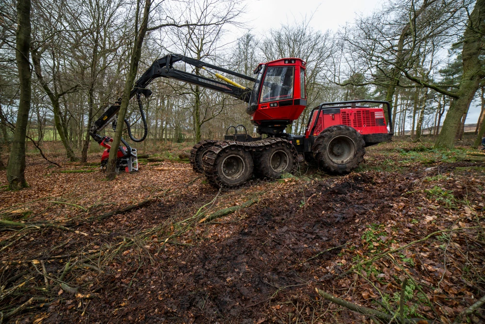 Grapples and winches in action