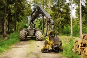 Questions to Ask Before Buying Used Forestry Equipment