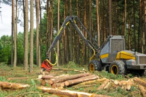 Skid Steer Attachments That Boost Logging Productivity