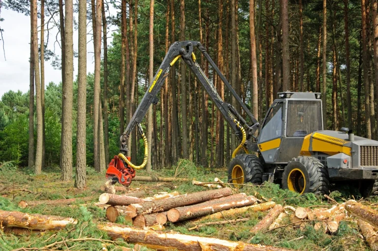 Skid Steer Attachments That Boost Logging Productivity