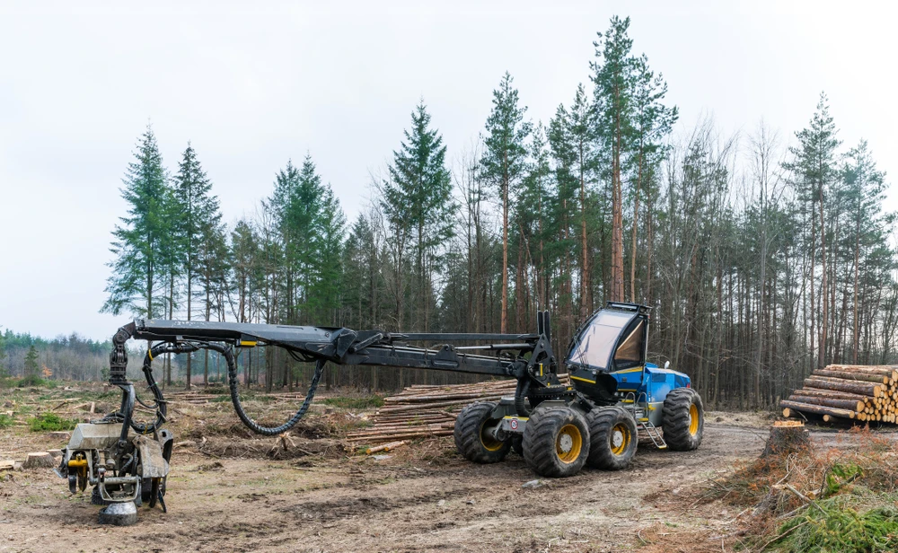 Weighing operational efficiency and costs